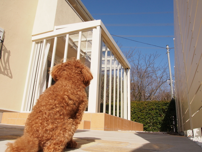 洗濯干しにも便利な半外干しスペース付きガーデンルーム施工例